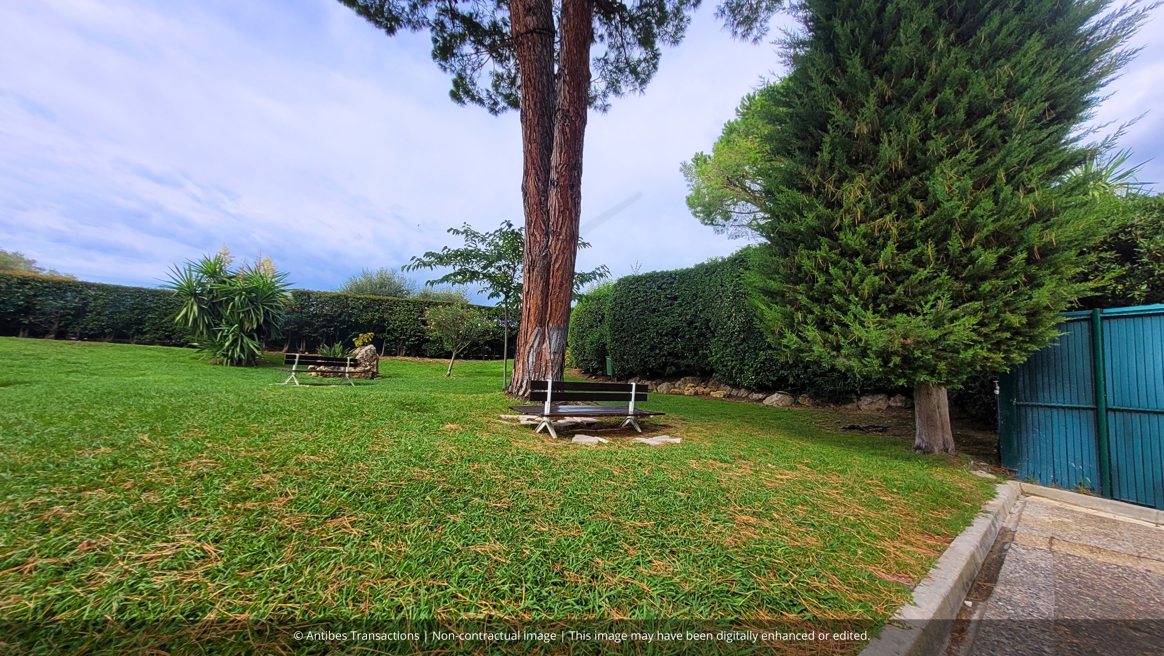 Garden in the residence