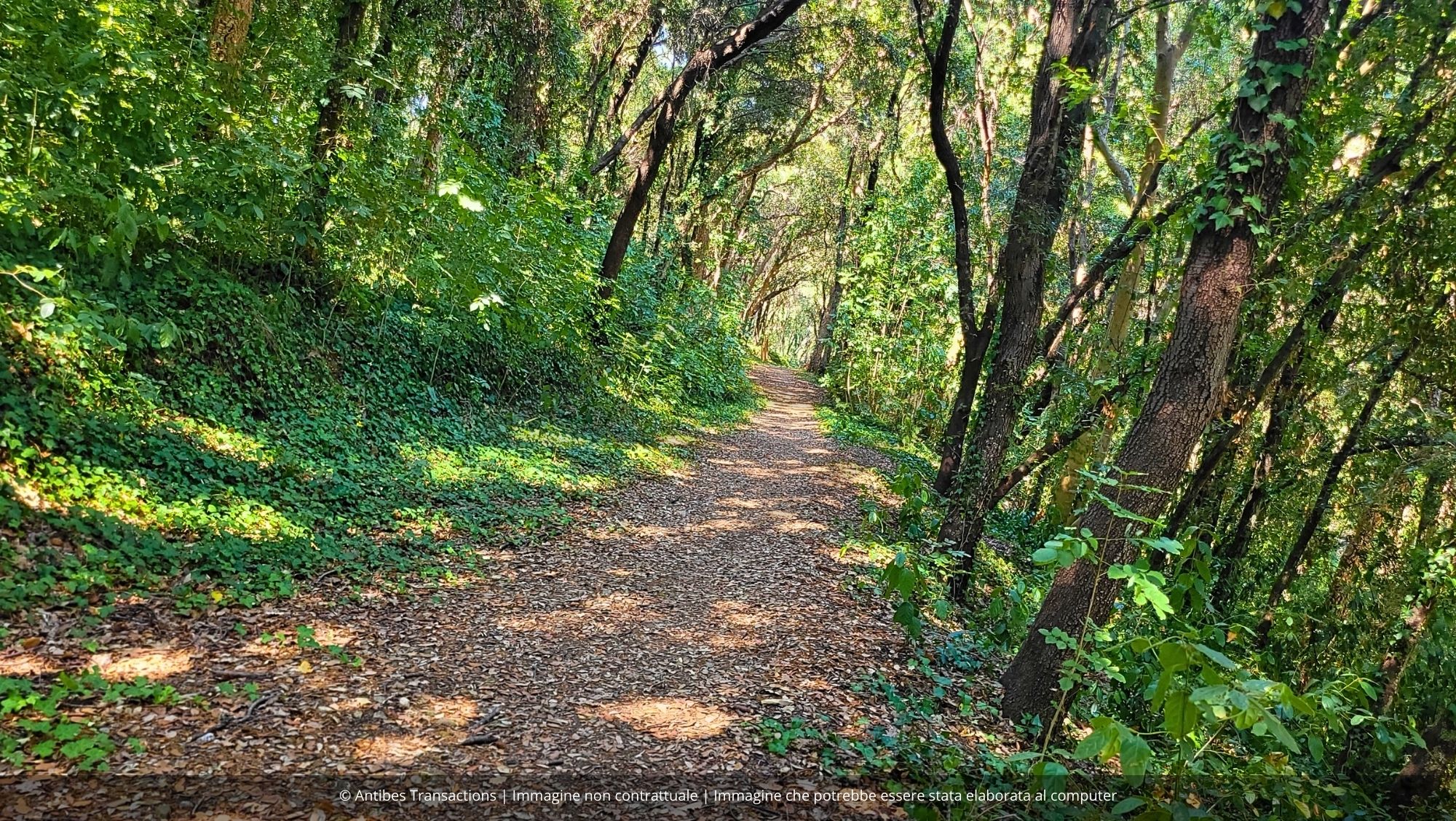 Vista del percorso vita nel residence